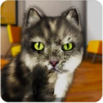 talking cat funny android application logo